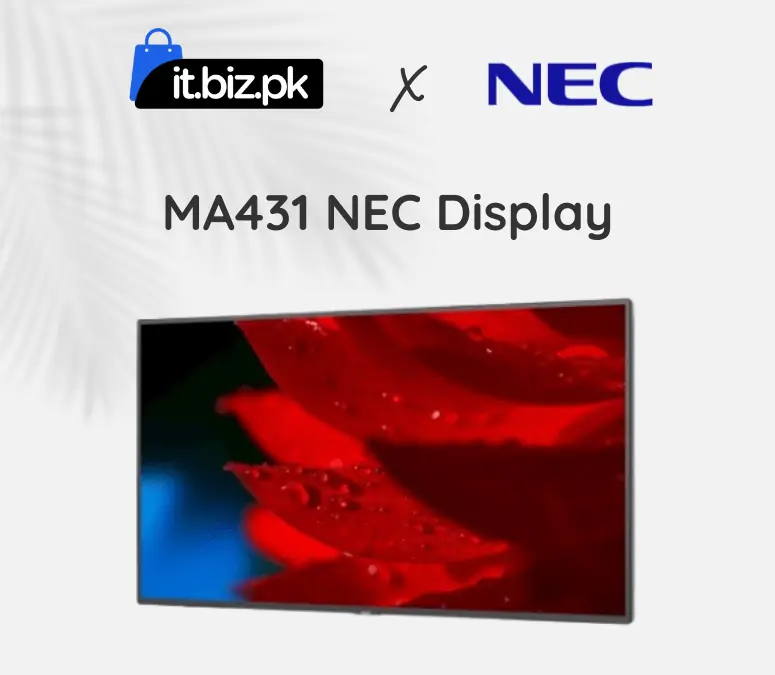 MA491 NEC Display
